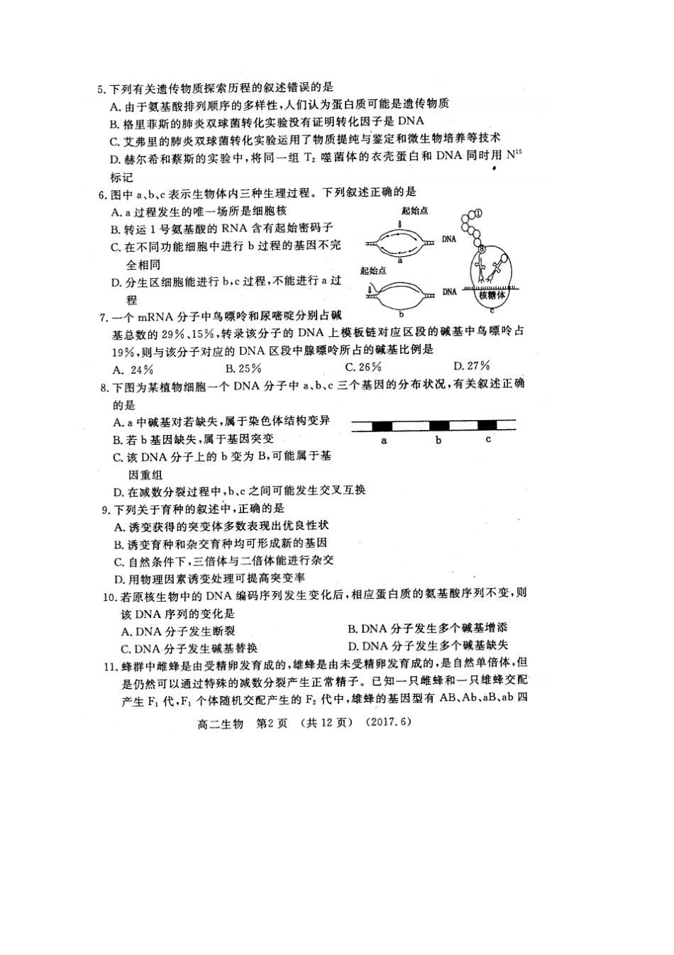 河南洛阳1617学年高二下学期期末质量检测6月_第2页