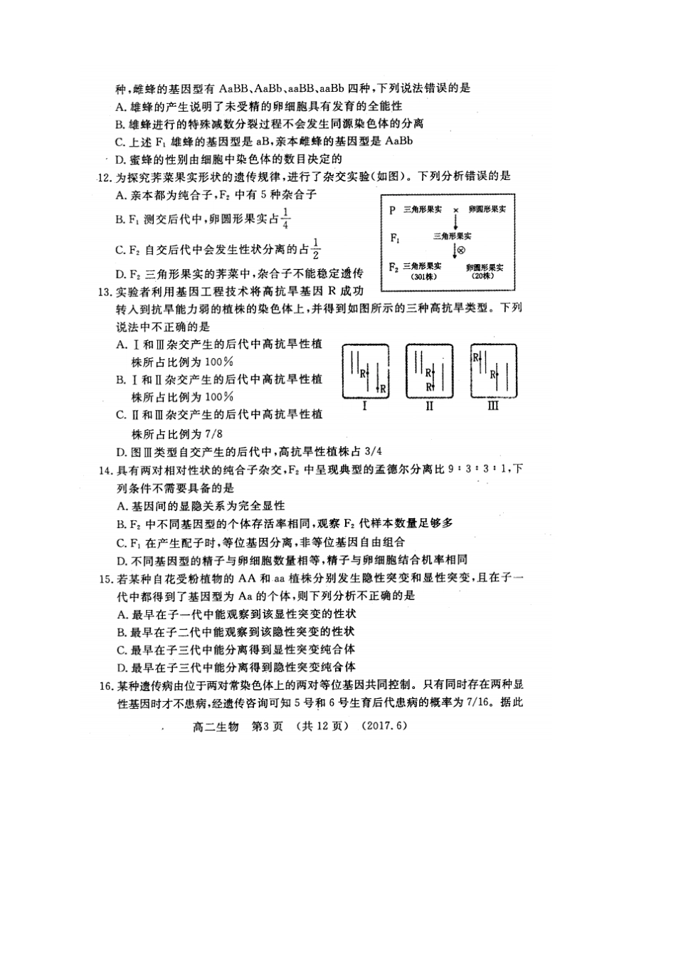 河南洛阳1617学年高二下学期期末质量检测6月_第3页
