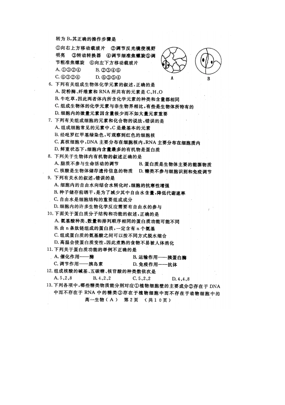 河南洛阳高一上学期期末考试生物试题扫描版_第2页
