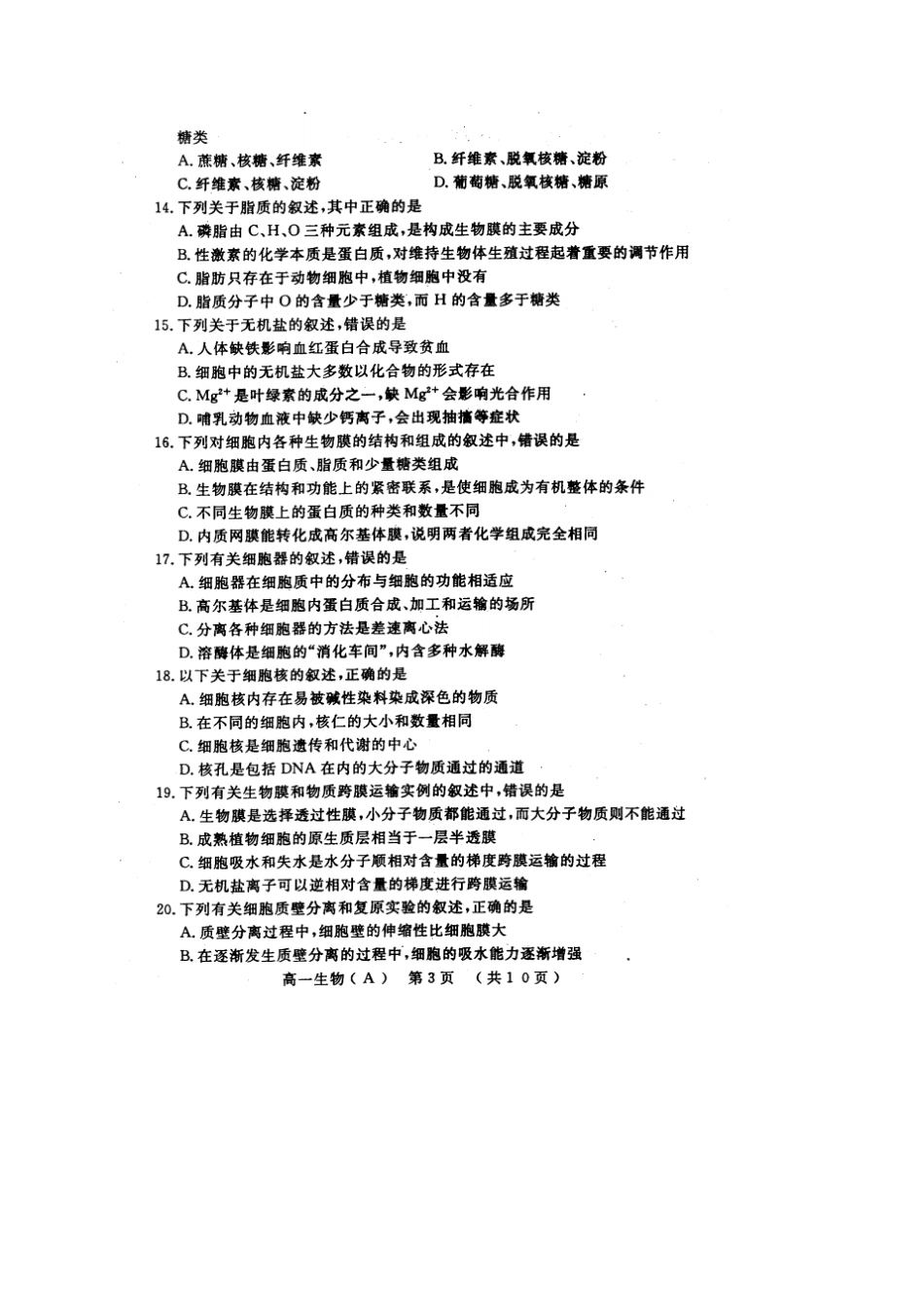 河南洛阳高一上学期期末考试生物试题扫描版_第3页