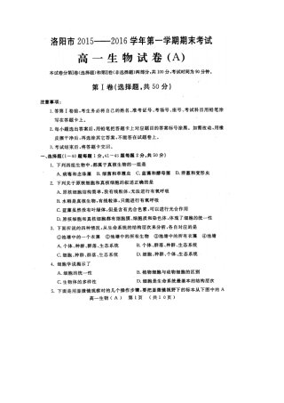 河南洛阳高一上学期期末考试生物试题扫描版