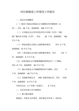 河长制推进工作情况工作报告