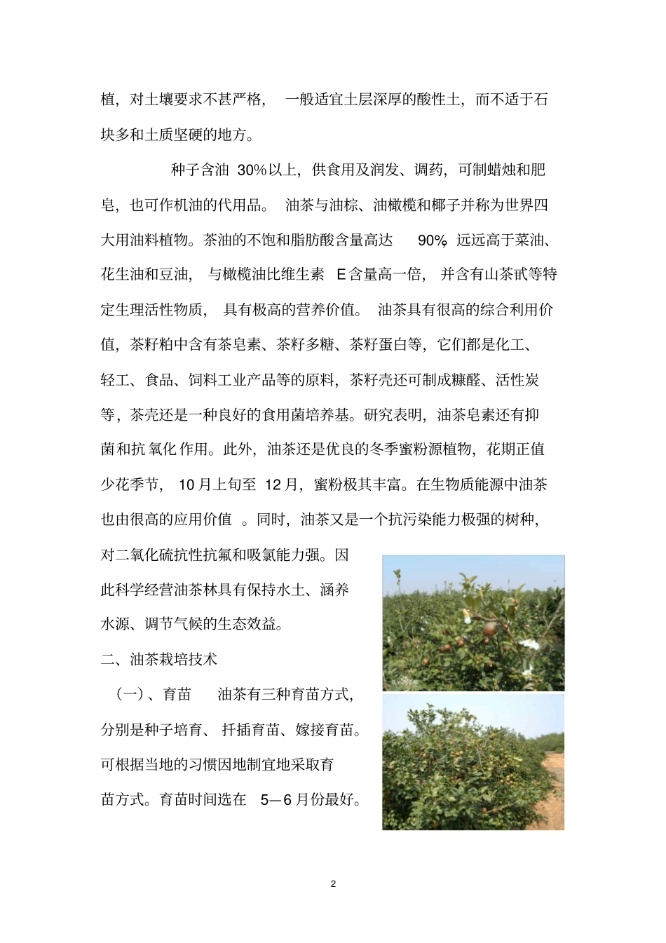 油茶的生长及检验检疫讲解_第2页