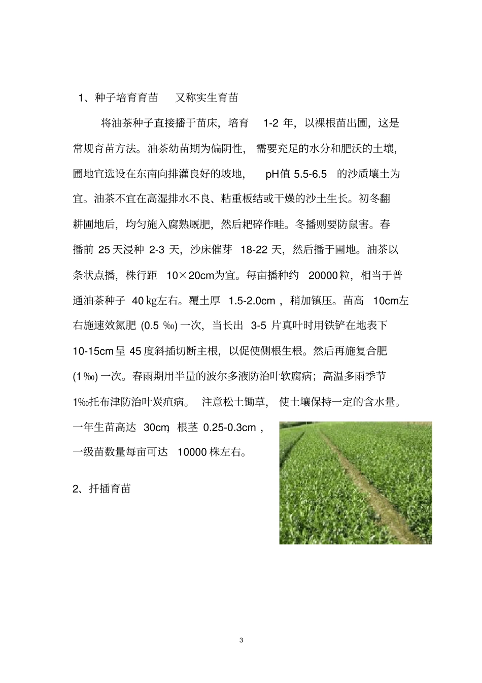 油茶的生长及检验检疫讲解_第3页