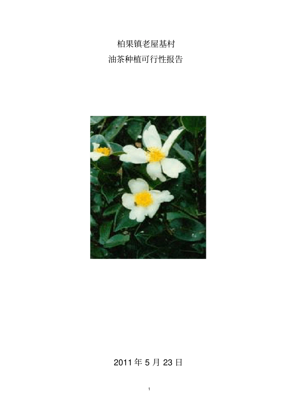 油茶种植项目可行性报告1_第1页