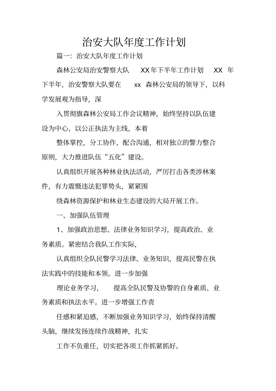 治安大队年工作计划_第1页