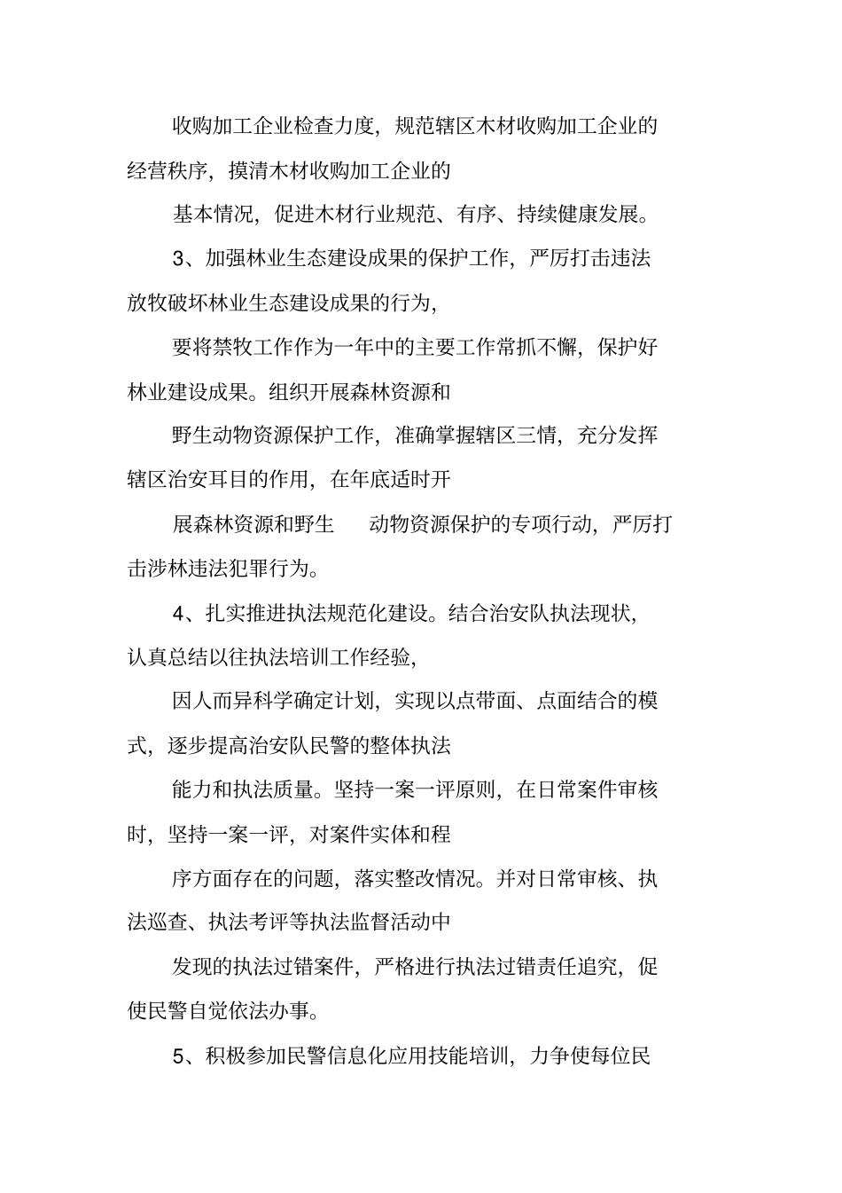 治安大队年工作计划_第3页