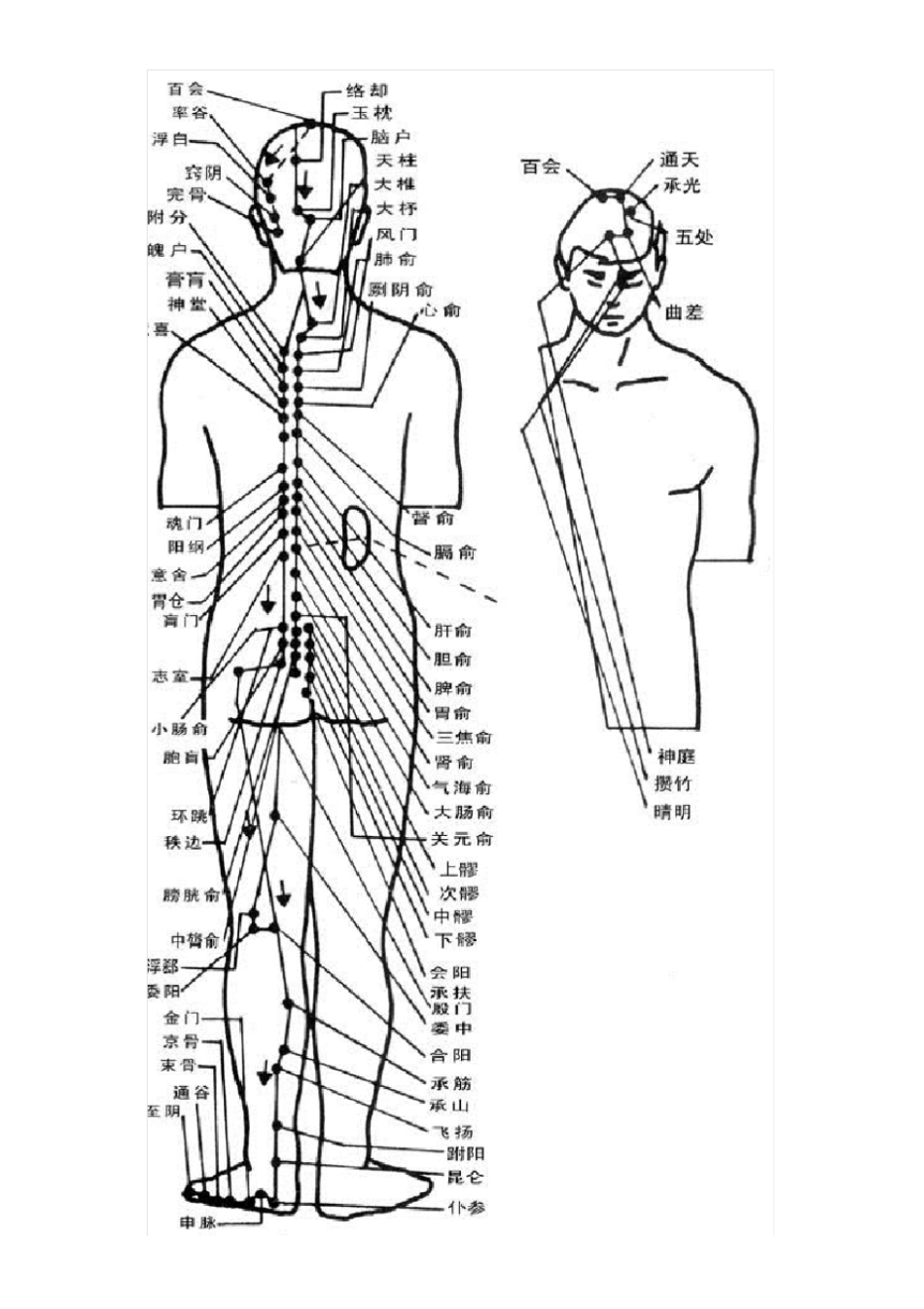 治疗腰痛的特效穴位_第3页