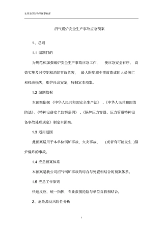 沼气锅炉安全生产事故应急预案