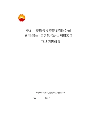 沾化燃气场调研报告分析