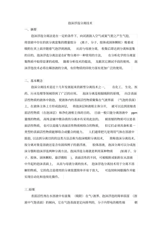 泡沫浮选分离技术讲解