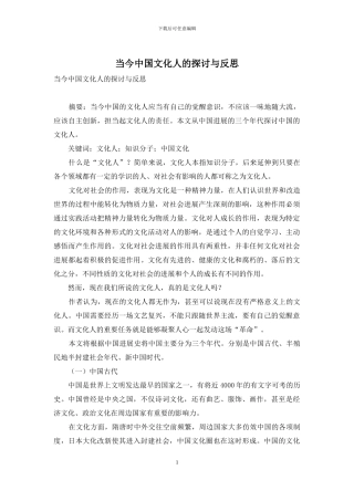 当今中国文化人的探讨与反思