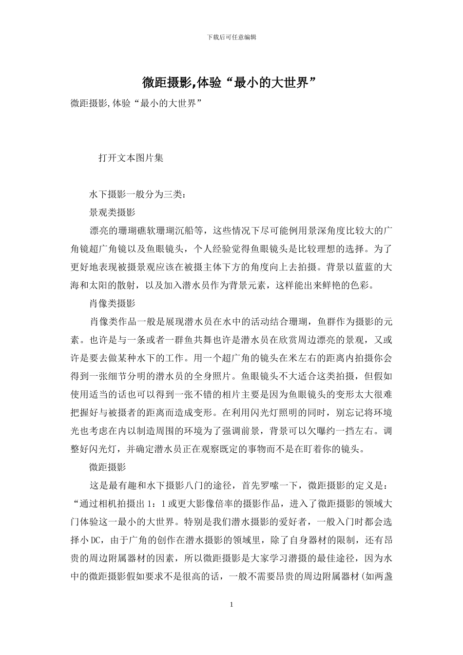 微距摄影-体验“最小的大世界”_第1页
