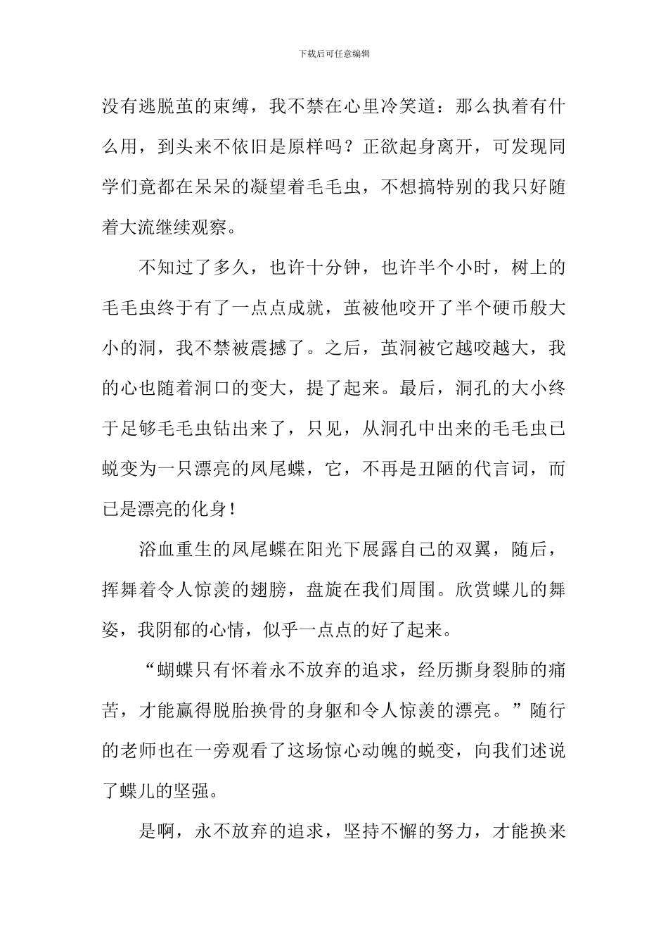 心海里的那朵浪花作文_第2页