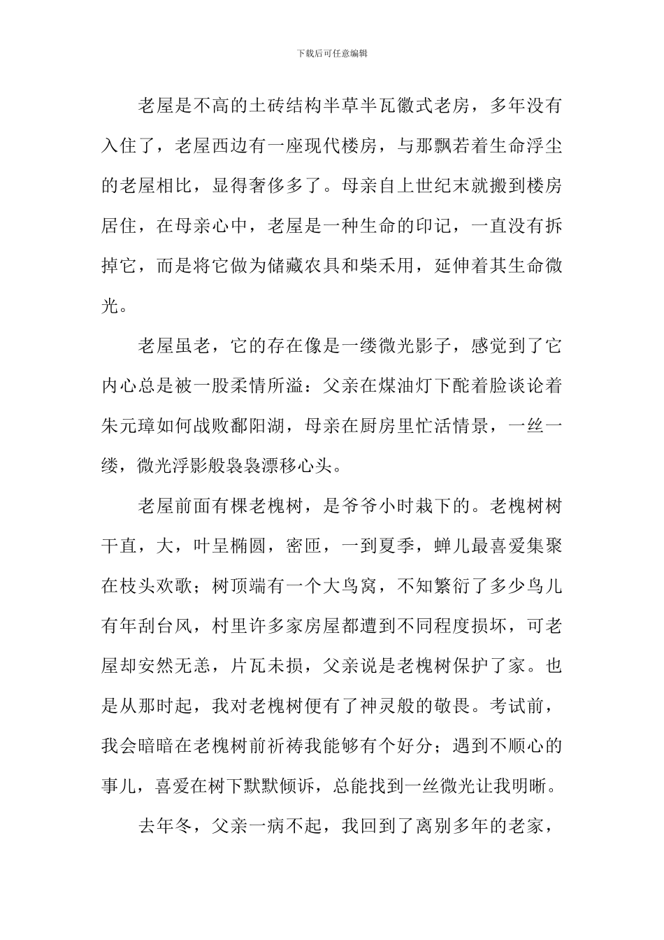 心灵中闪过的微光作文_第3页