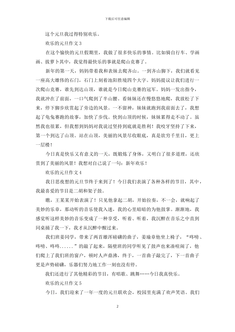 快乐的元旦作文_第2页
