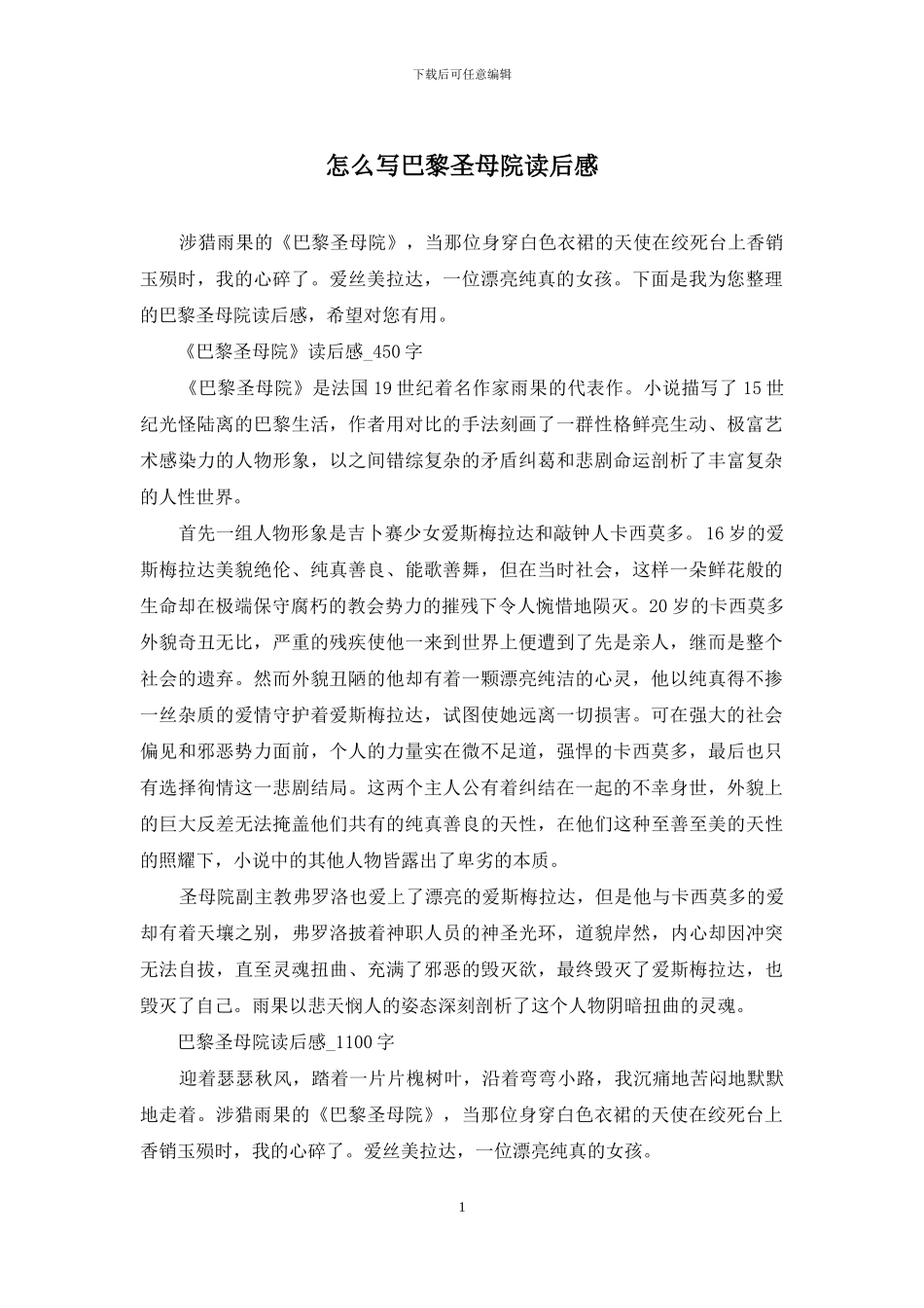 怎么写巴黎圣母院读后感_第1页