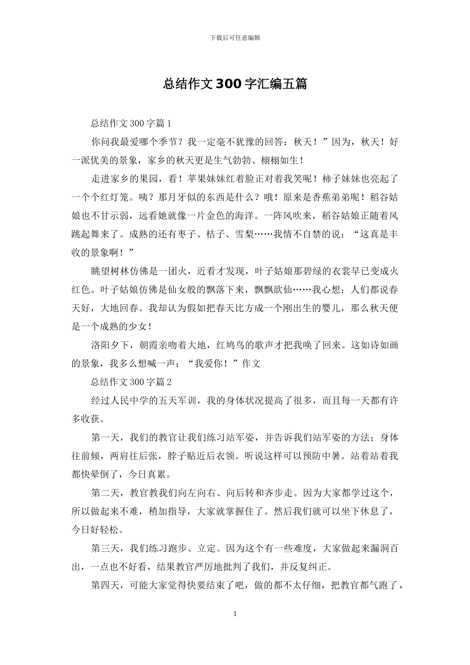总结作文300字汇编五篇_第1页