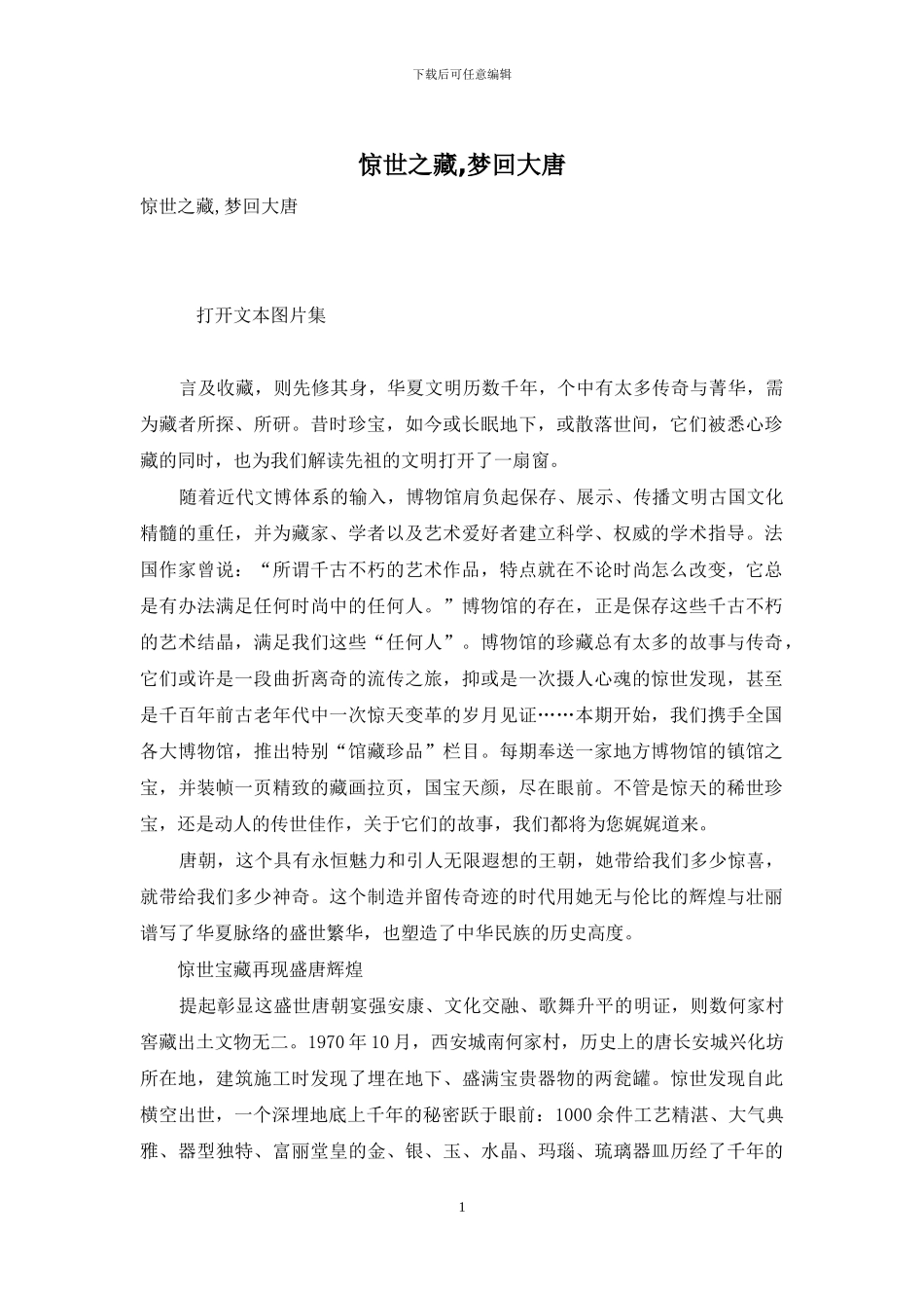 惊世之藏-梦回大唐_第1页