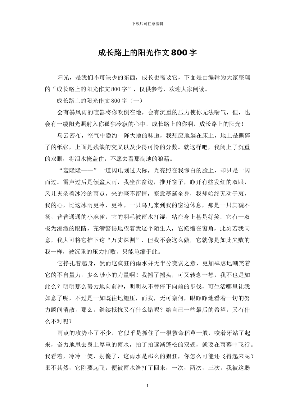 成长路上的阳光作文800字_第1页