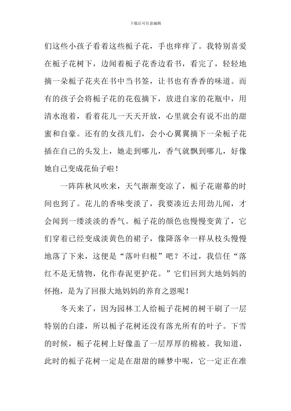 我和栀子花的故事作文_第2页