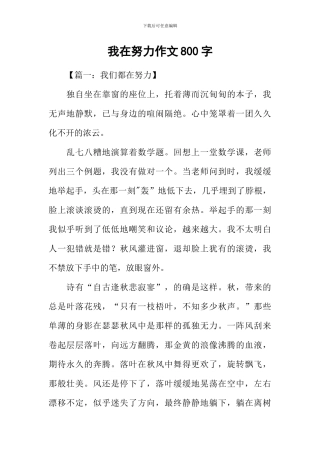 我在努力作文800字