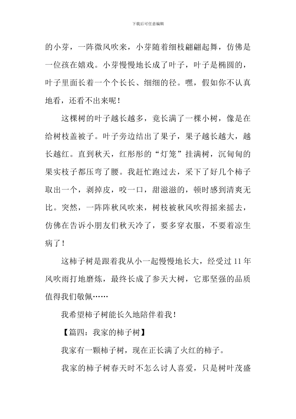 我家的柿子树作文300字_第3页