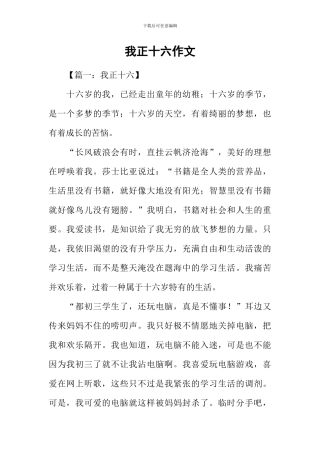 我正十六作文