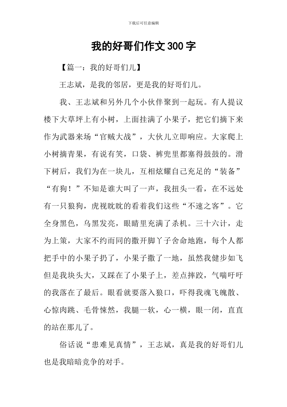 我的好哥们作文300字_第1页