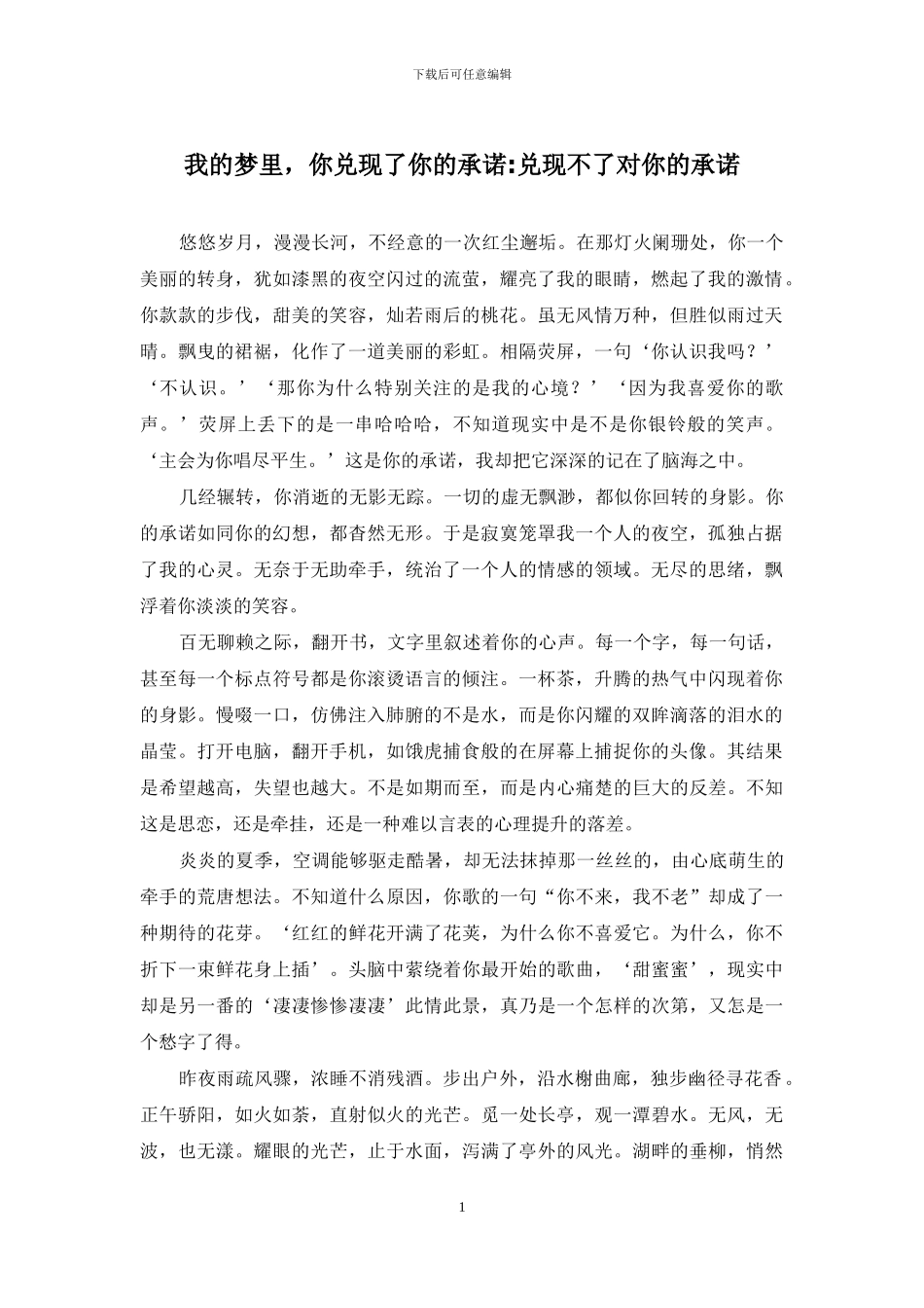 我的梦里-你兑现了你的承诺-兑现不了对你的承诺_第1页