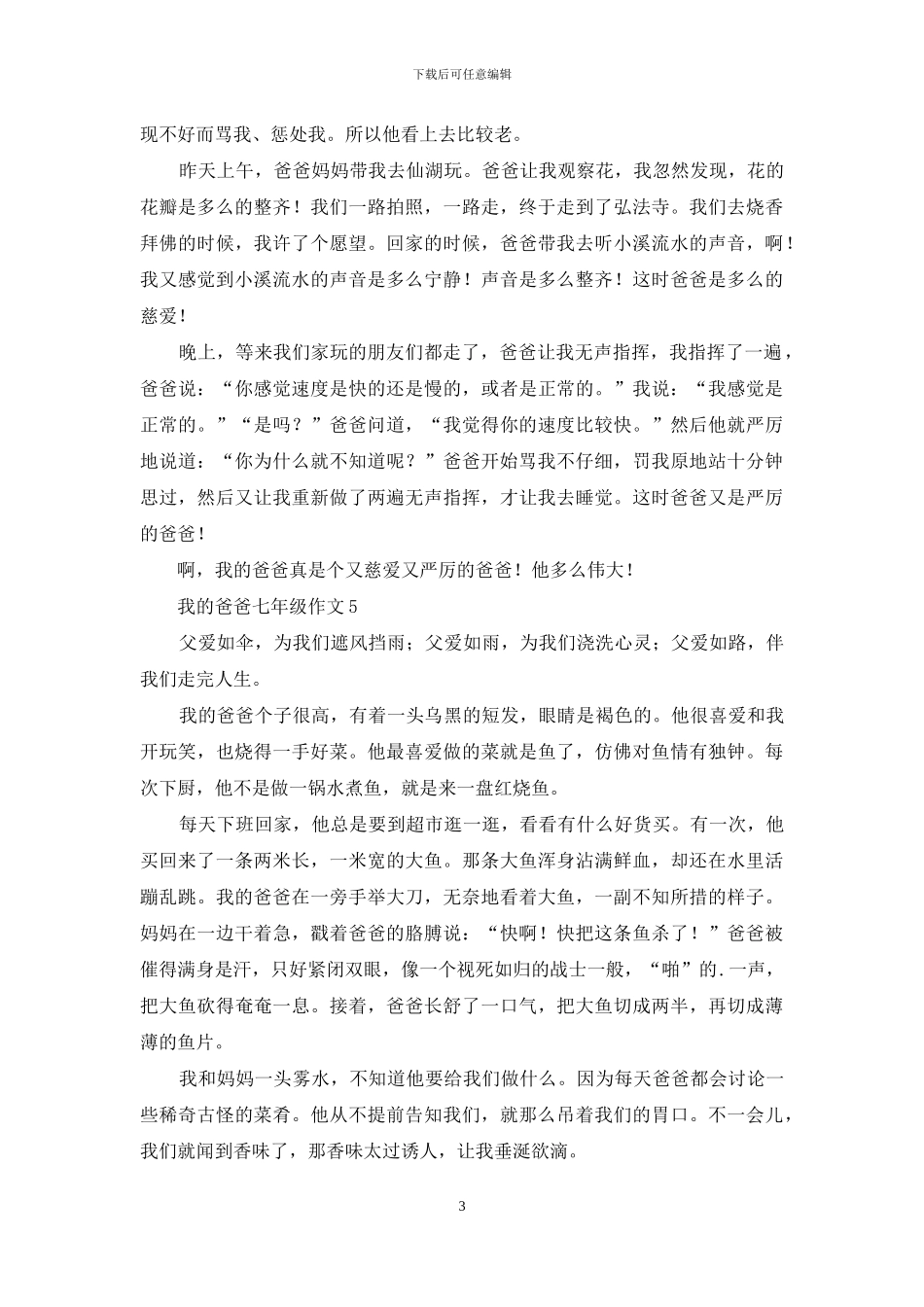 我的爸爸七年级作文_第3页
