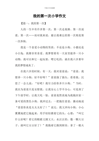 我的第一次小学作文