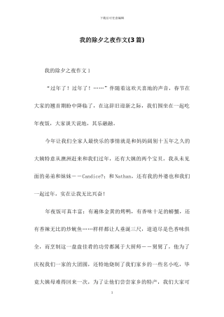 我的除夕之夜作文