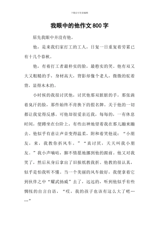 我眼中的他作文800字-1
