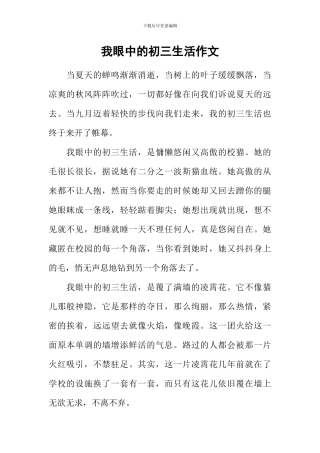我眼中的初三生活作文