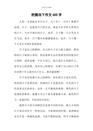 把握当下作文600字