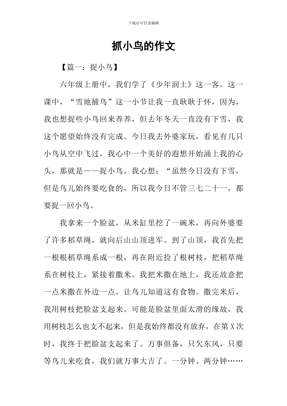 抓小鸟的作文_第1页