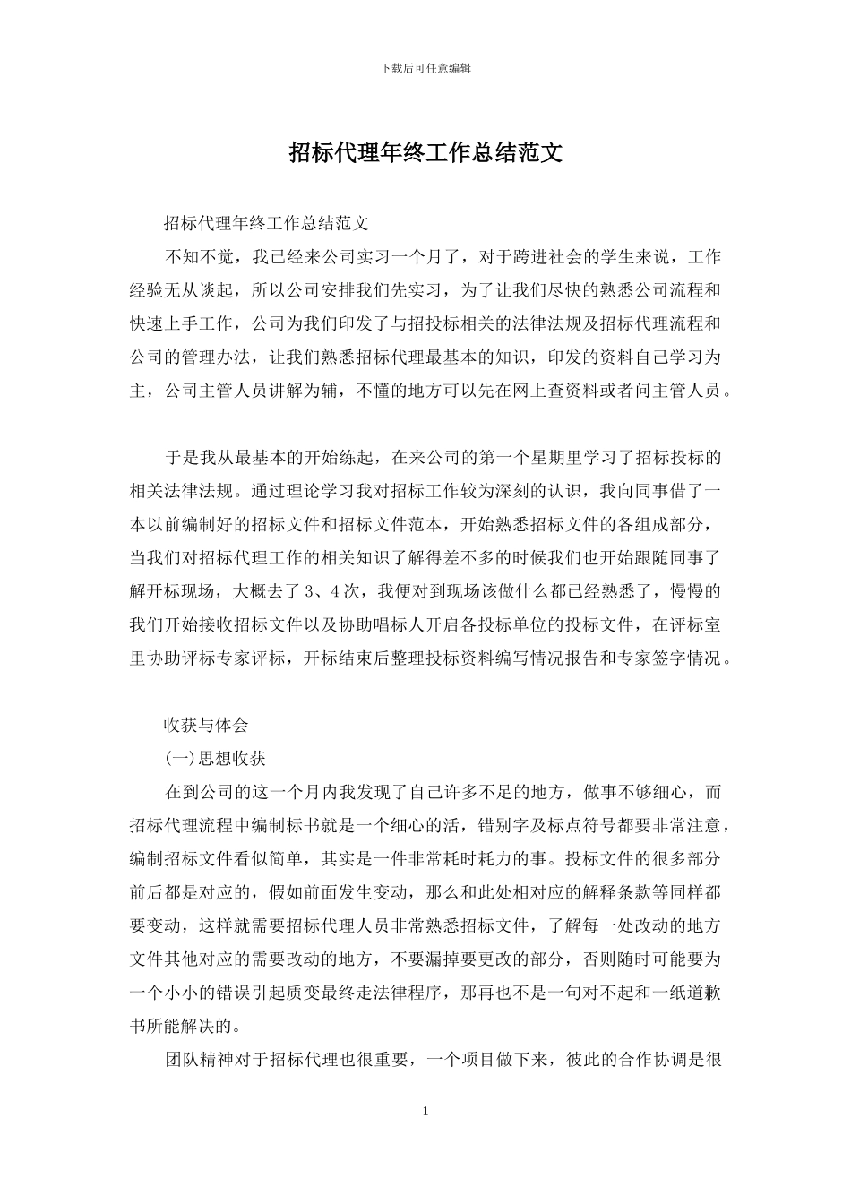 招标代理年终工作总结范文_第1页