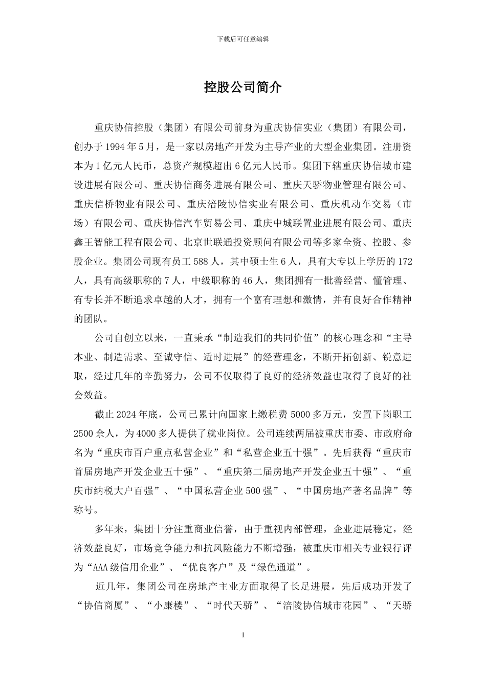 控股公司简介_第1页