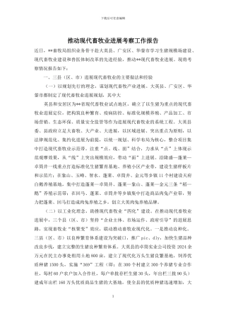 推进现代畜牧业发展考察工作报告