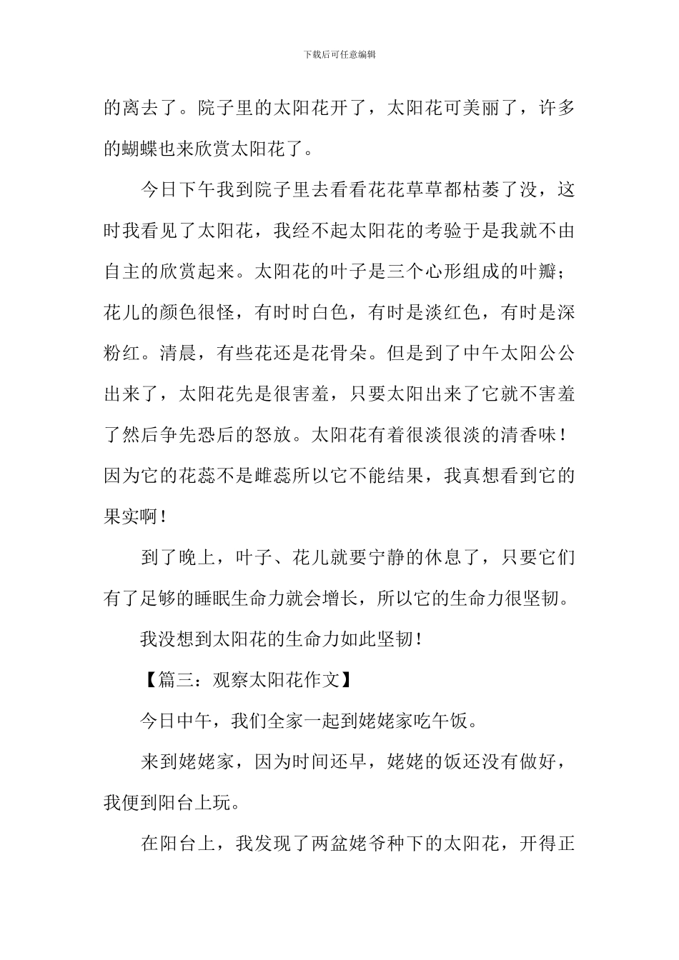 描写太阳花的作文300字_第2页