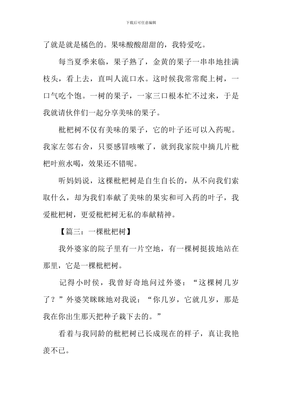 描写枇杷树的作文_第2页