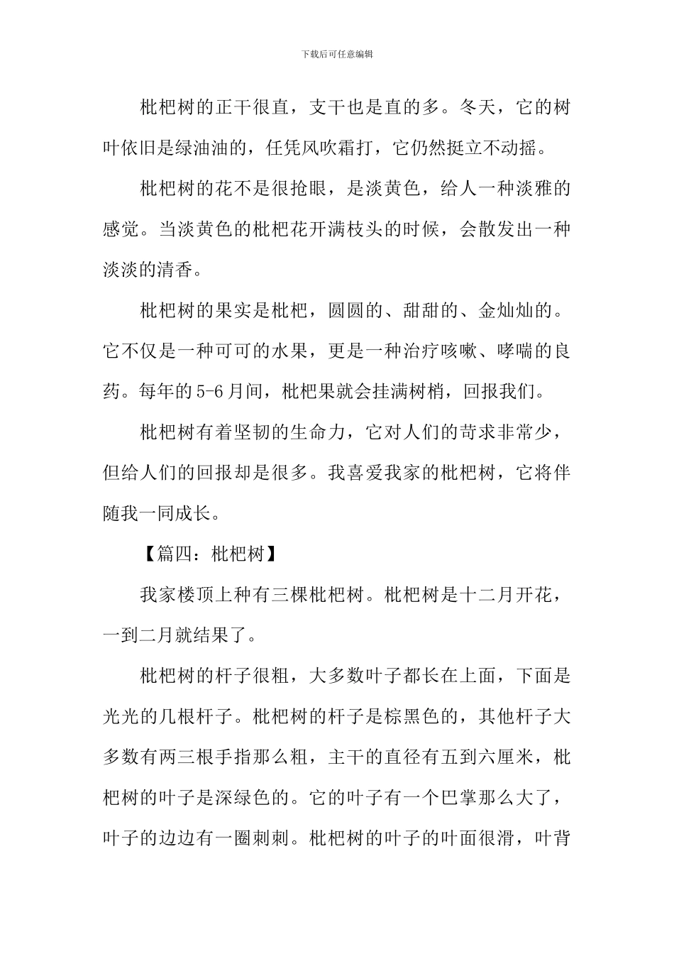 描写枇杷树的作文_第3页