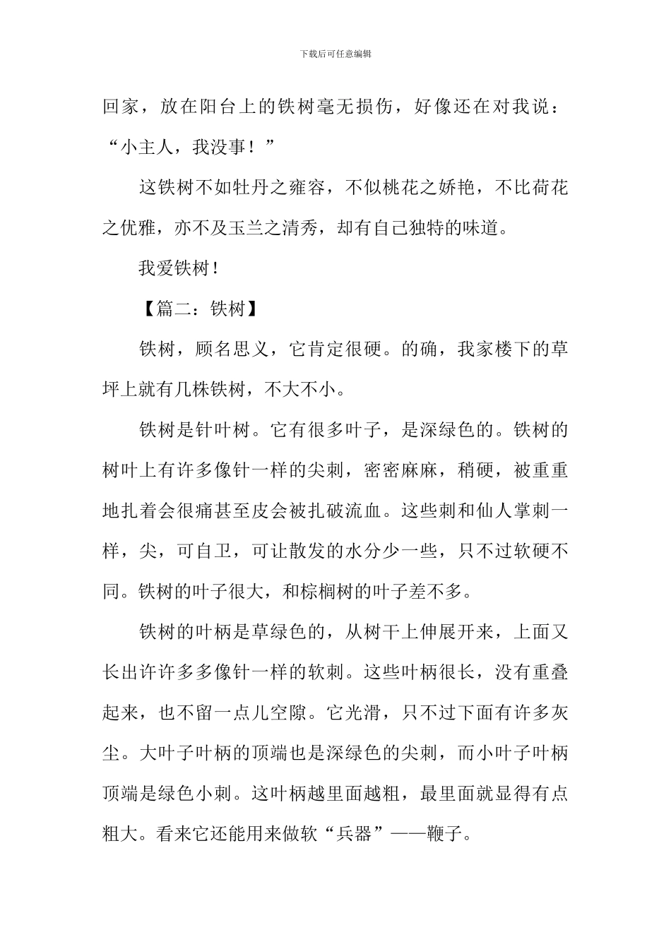 描写铁树的作文400字_第2页