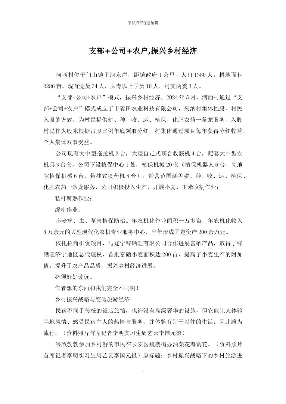支部+公司+农户-振兴乡村经济_第1页