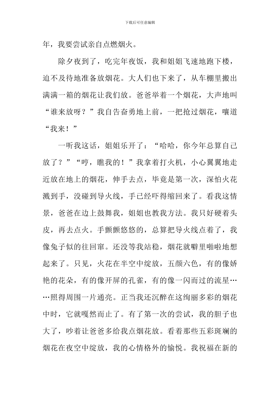 放烟花作文300字-2_第3页