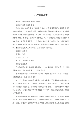 文印自查报告