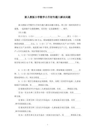 新人教版小学数学小升初专题八解决问题