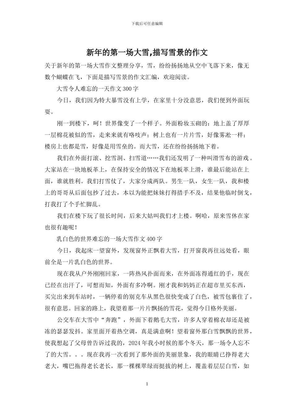 新年的第一场大雪-描写雪景的作文_第1页