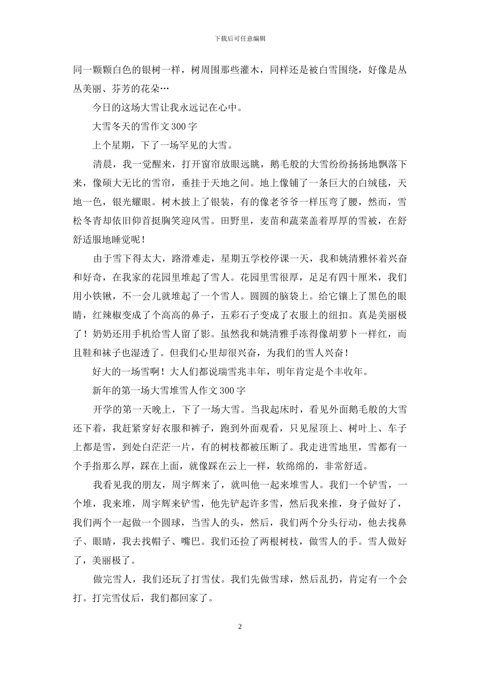 新年的第一场大雪-描写雪景的作文_第2页
